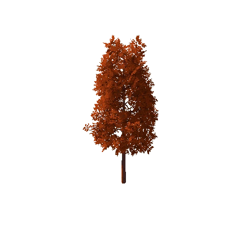 Tree_B Autumn_2